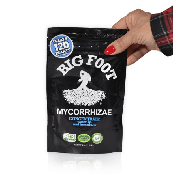 Big Foot Micorriza Concentrate Sachê 113g (4oz) - Image 3