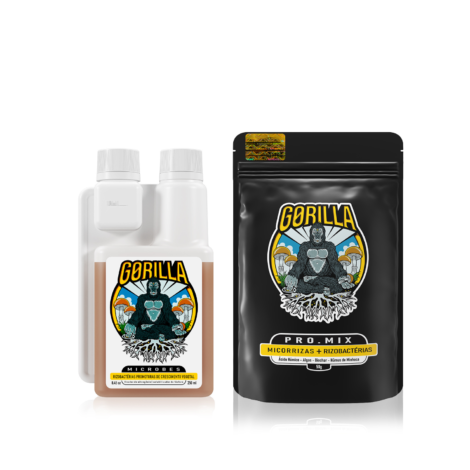 KIT 250 ml + BLACK 50g FRENTE