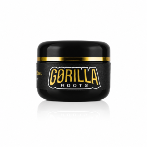 __GORILLA ROOTS - TEMPORÁRIO PARA SITE - 01 FRENTE